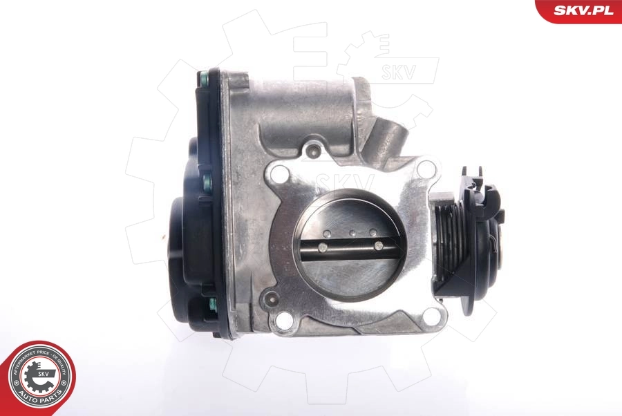 Throttle Body